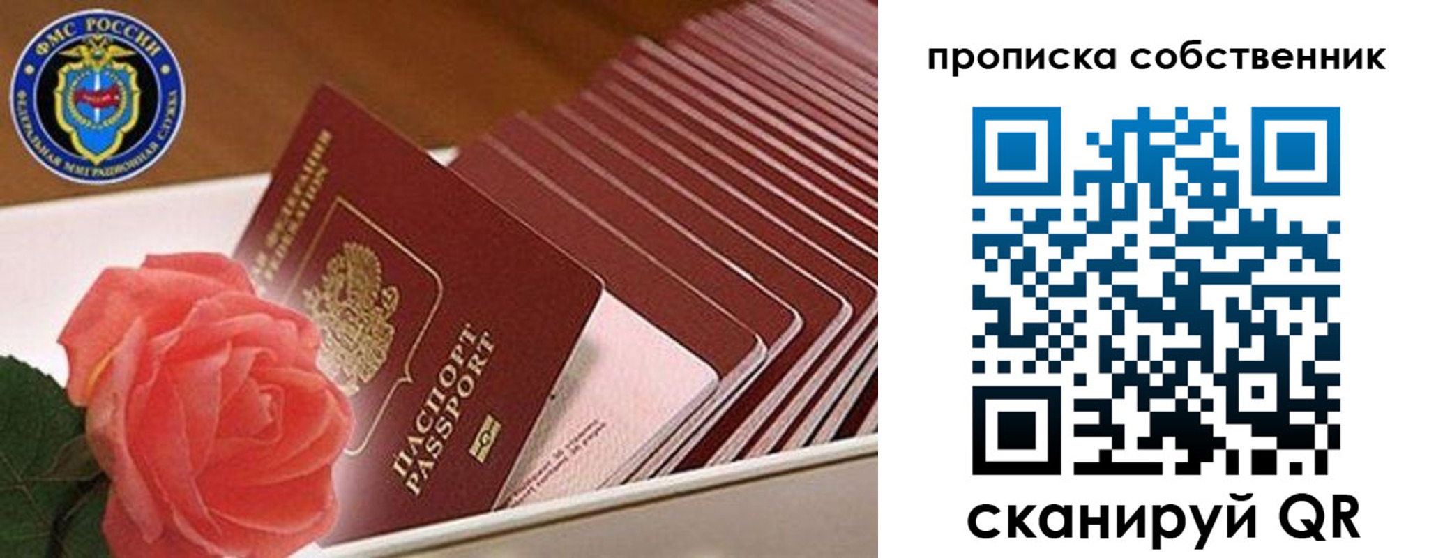 прописка поиск в Дивногорске